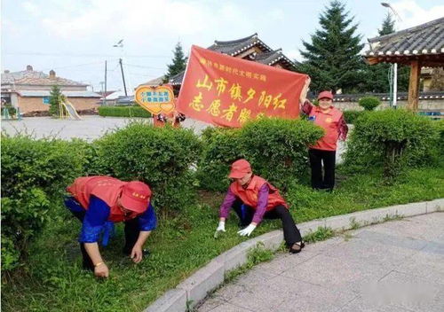 创建全国文明城市 我们在行动——农业土地整理服务助力生态宜居