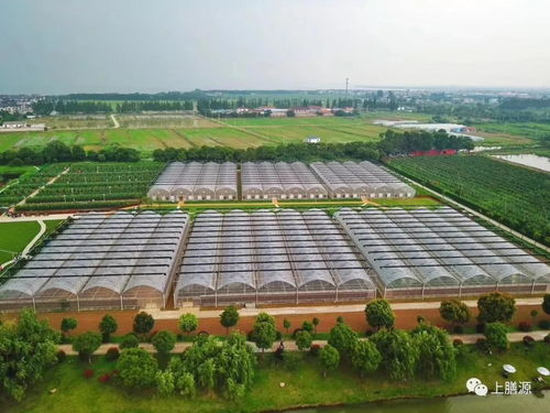 浅谈有机农业发展前景与农业土地整理服务