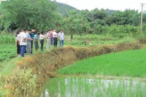 土地新政 撂荒两年土地经营权或终止，农业整理服务迎来新机遇