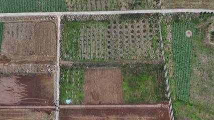 资阳市雁江区农地提质增效 助力乡村振兴新跨越