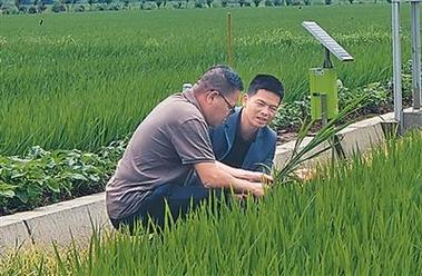 戴宏扎根乡土种好"智慧田"(本报记者 董泽扬采访整理)让土地产好粮,让