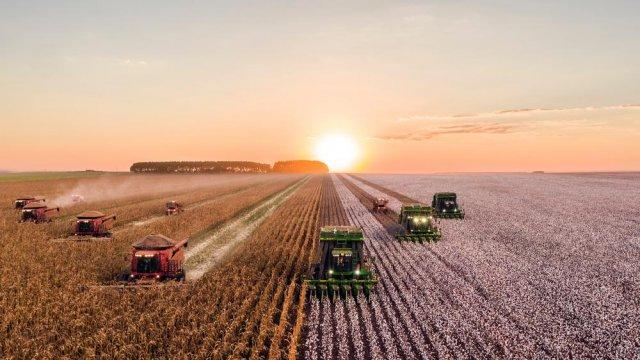 沙粮农业获4250万天使轮融资与袁隆平共同制定沙漠净米世界标准