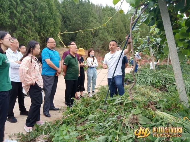 在现代农业园区项目建设中,梓潼县探索农村资产入股增收模式,利用土地